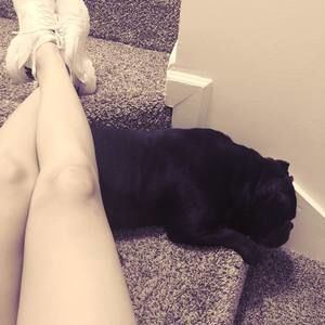 Meet your Posher, Kity